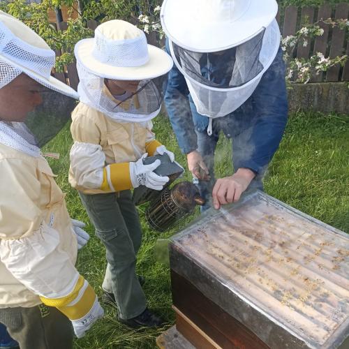 Bienenstock