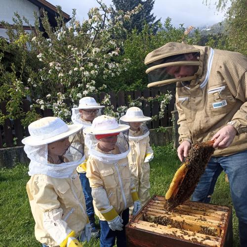 Bienenstock