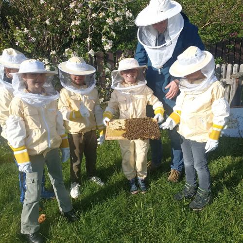 Bienen im Schulgarten
